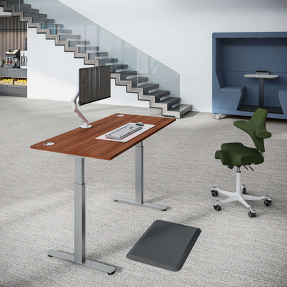 iLohas 2 Dual Motor Electric Standing Desk, Portholes, 2 Stage