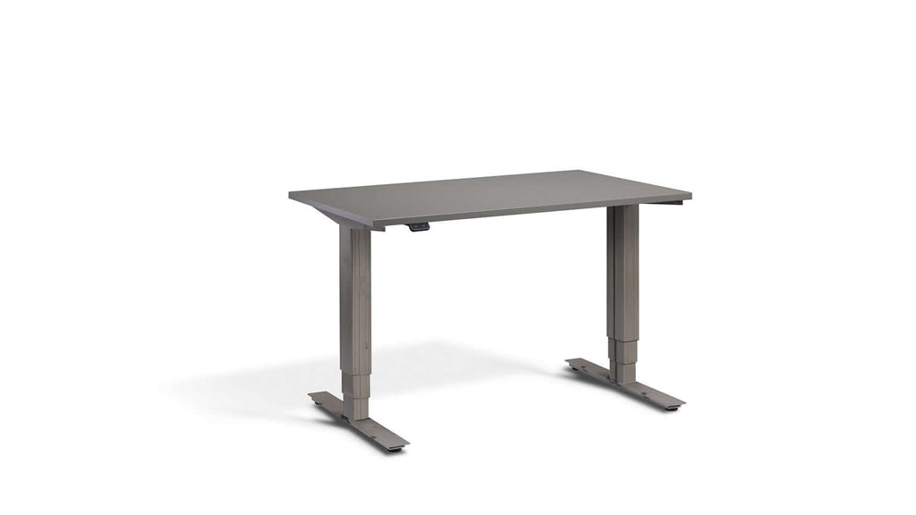 Mini: Compact Heavy-Duty Standing Desk with Dual Motors - Height Adjustable, Space-Saving, Tabletop 100 x 60cm