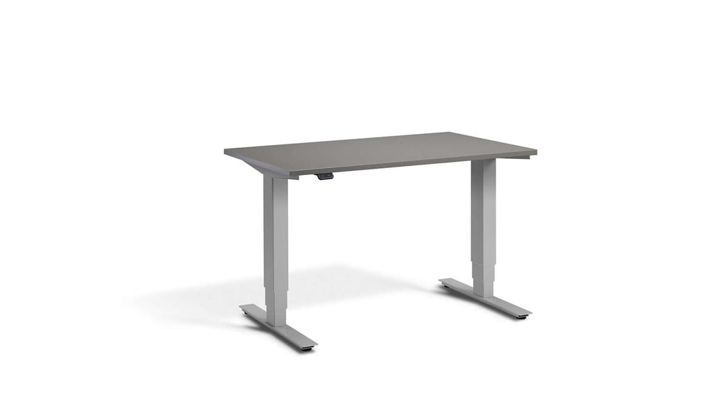 Mini: Compact Heavy-Duty Standing Desk with Dual Motors - Height Adjustable, Space-Saving, Tabletop 100 x 60cm