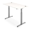 iLohas 2 Dual Motor Electric Standing Desk, 2 Stages