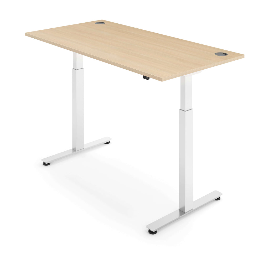 iLohas 2 Dual Motor Electric Standing Desk, 2 Stages