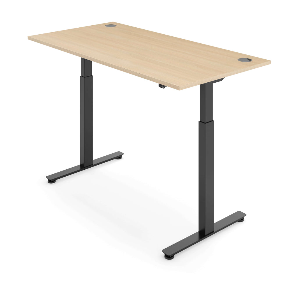 iLohas Active 2 Standing Desk - Smart Dual Motor Portholes