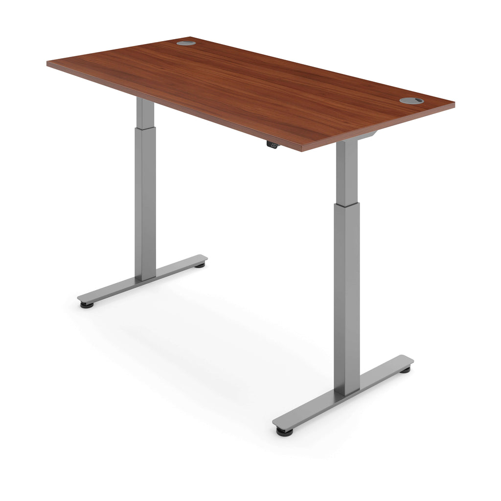 iLohas Active 2 Standing Desk - Smart Dual Motor Portholes