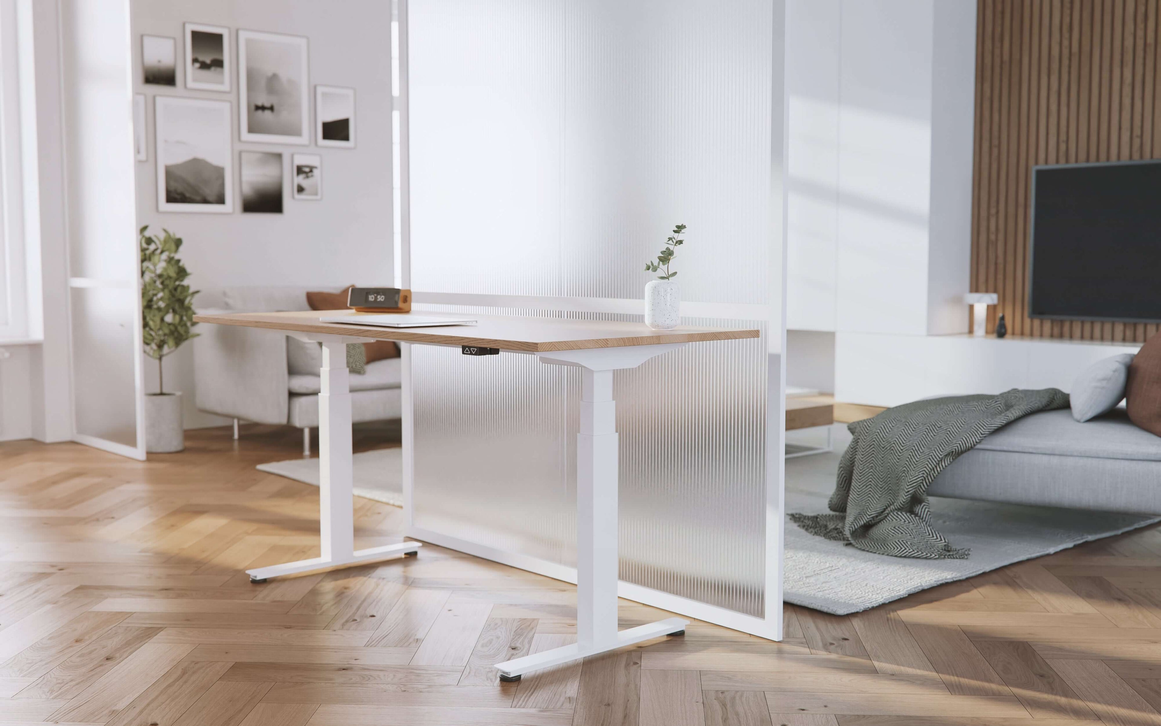 iLohas Active 2+ standing desk in a modern home office setting with ergonomic design and clean aesthetics.