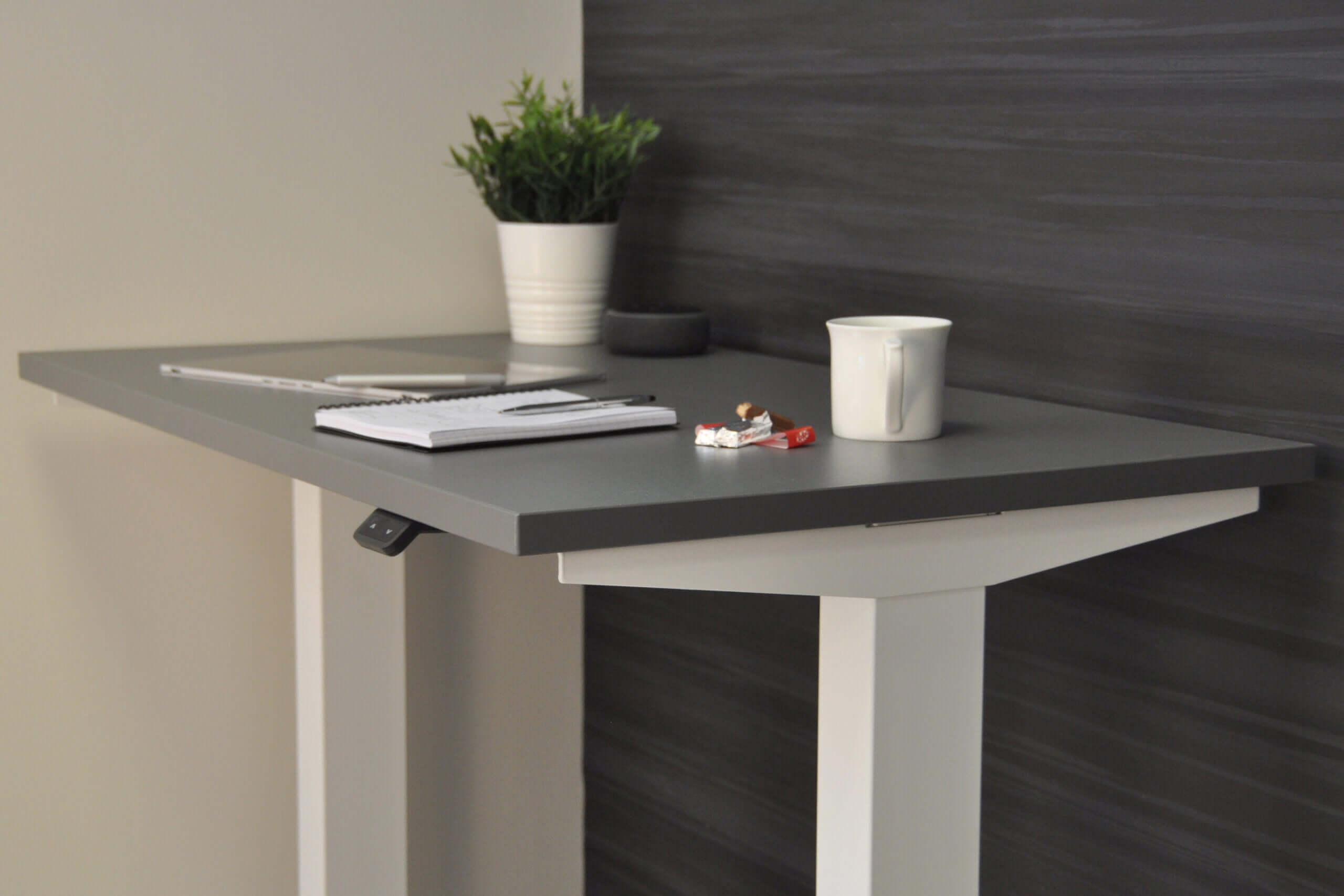 Mini: Compact Heavy-Duty Standing Desk with Dual Motors - Height Adjustable, Space-Saving, Tabletop 100 x 60cm