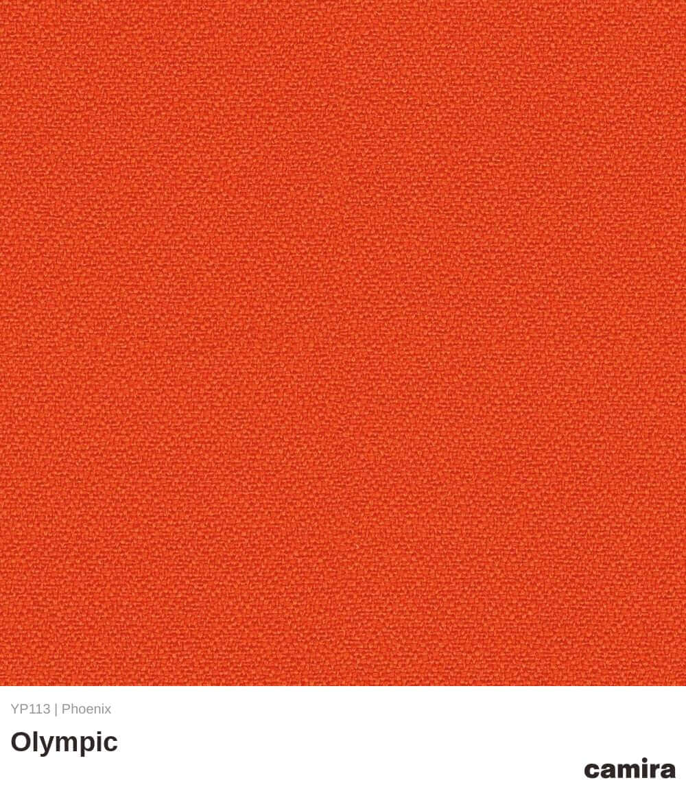 Remi Mesh: Ergonomic Task Chair with Adjustable Back & Contoured Foam Seat