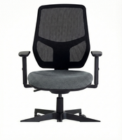 Remi Mesh: Ergonomic Task Chair with Adjustable Back & Contoured Foam Seat