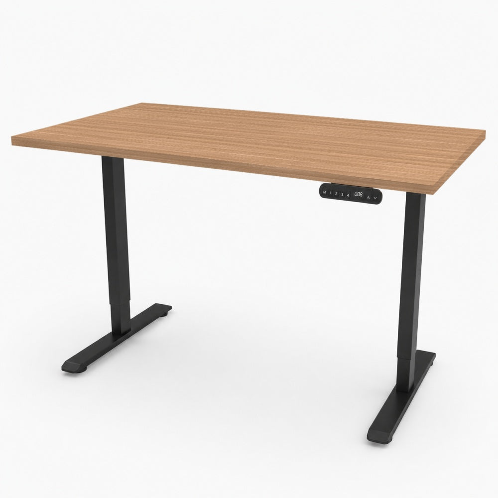 iLohas - The 2 - Dual-motor Electric Sit-Stand Desk