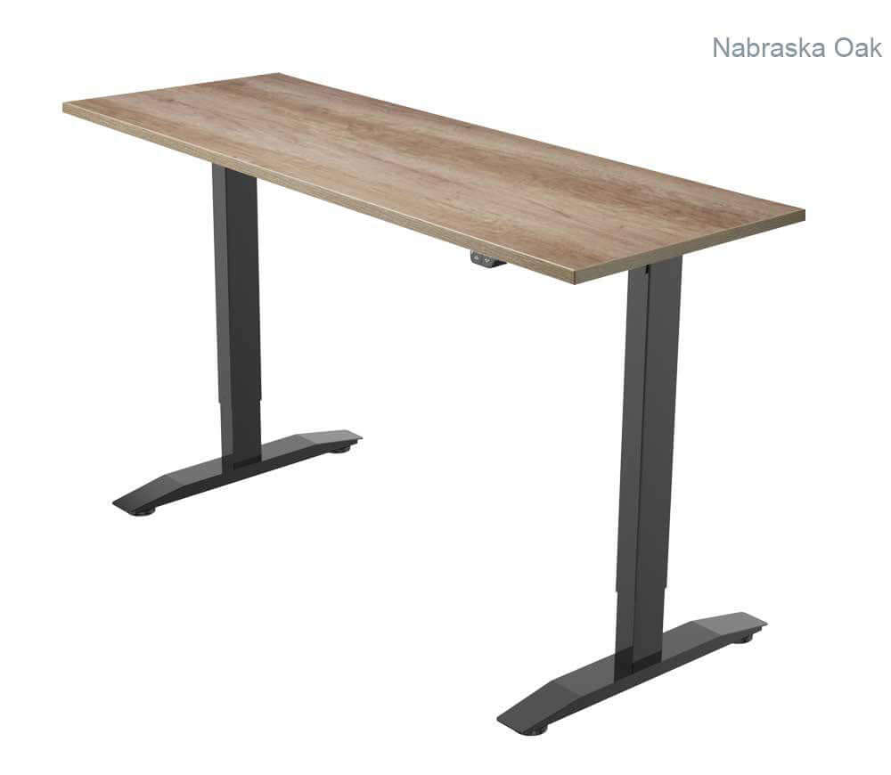 PRO 1 Single Motor Electric Standing Desk