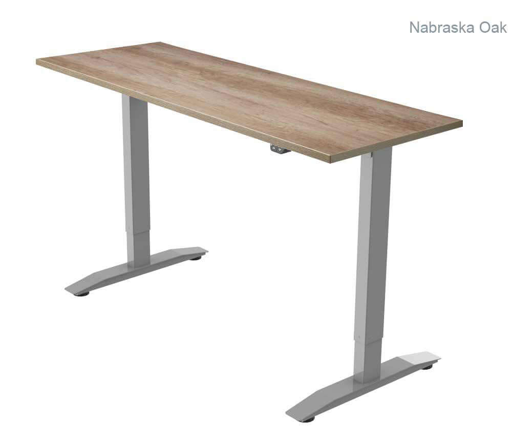 PRO 1 Single Motor Electric Standing Desk