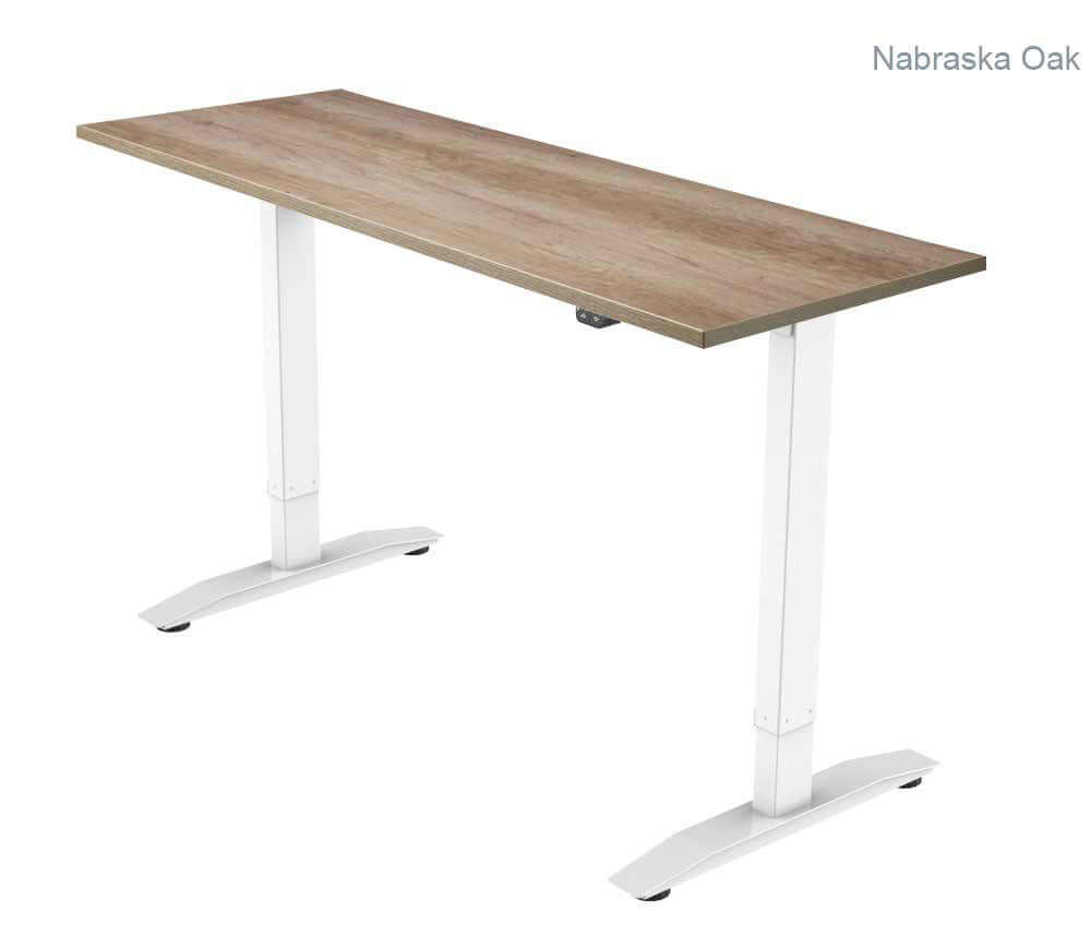 PRO 1 Single Motor Electric Standing Desk