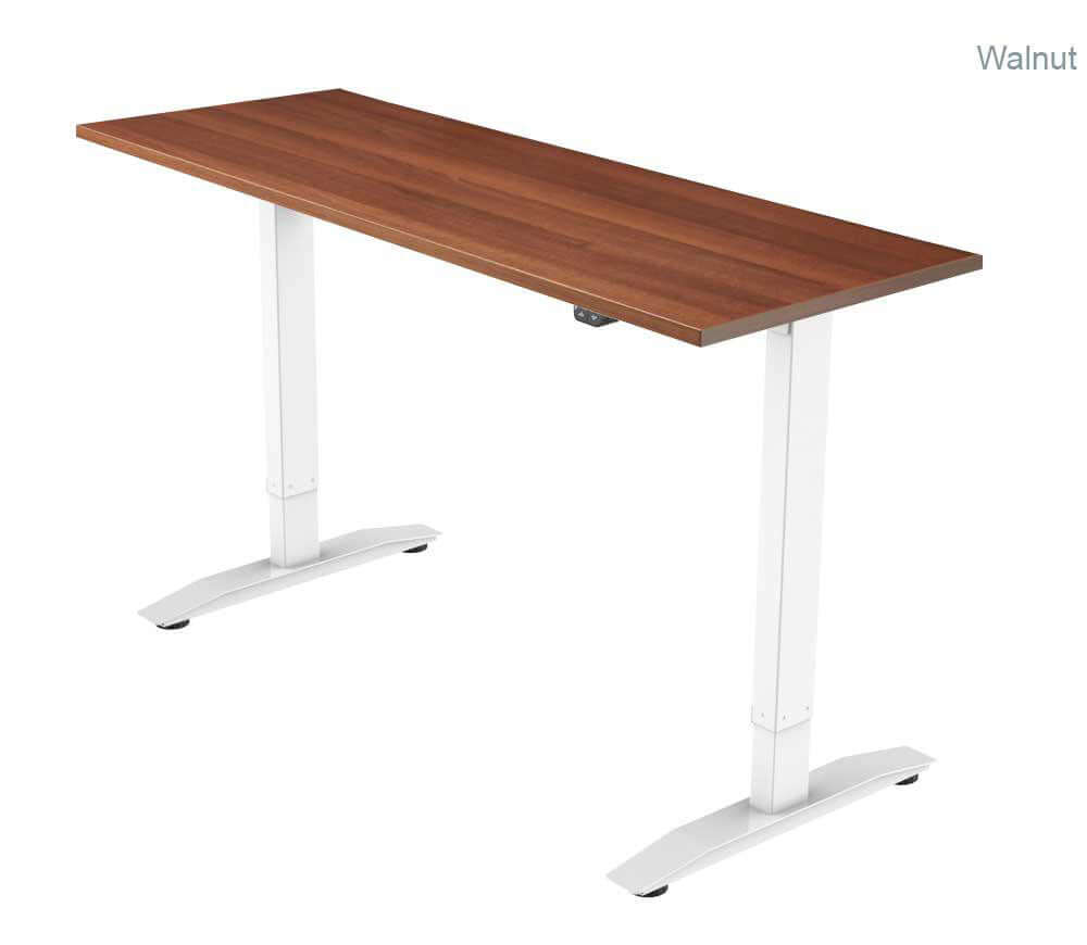 PRO 1 Single Motor Electric Standing Desk