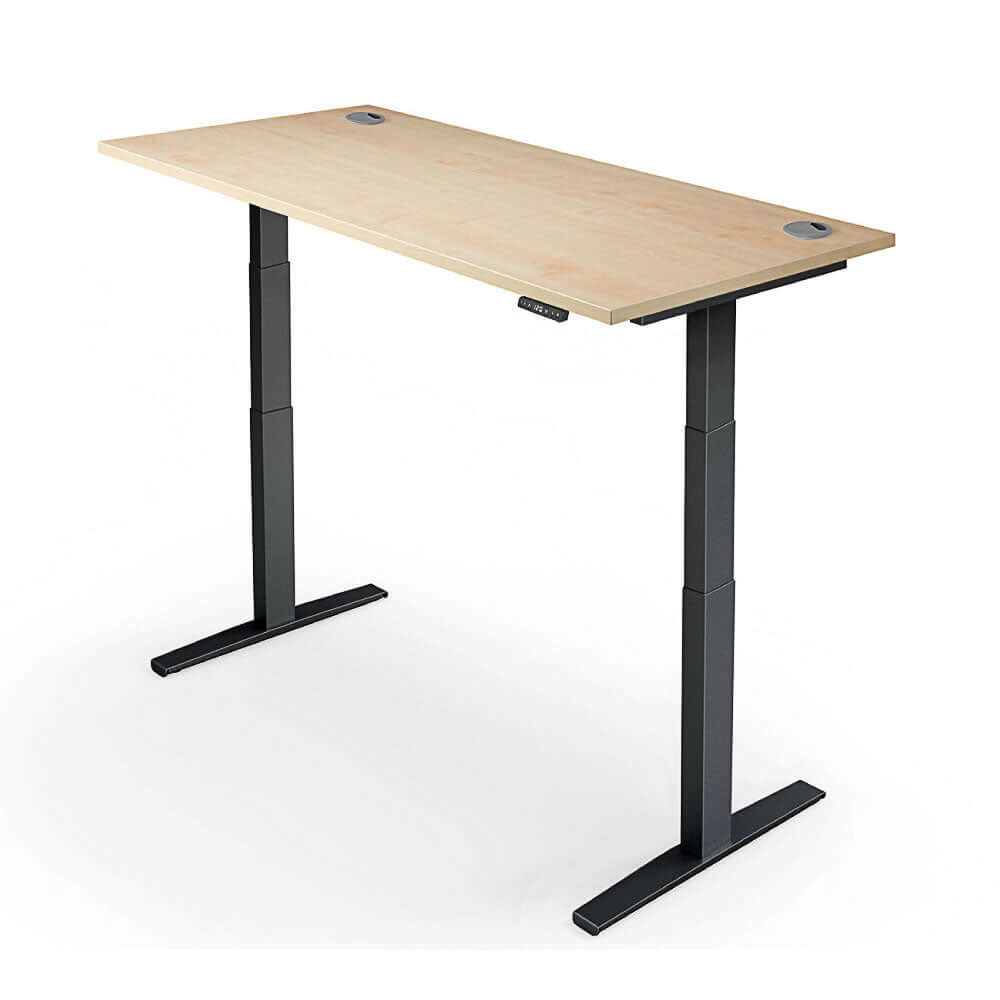 PRO 2+ Dual Motor Electric Standing Desk