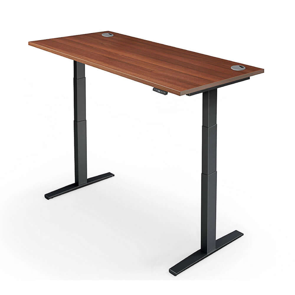 PRO 2+ Dual Motor Electric Standing Desk