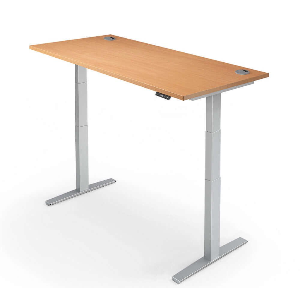 PRO 2+ Dual Motor Electric Standing Desk