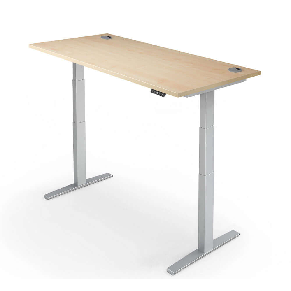 PRO 2+ Dual Motor Electric Standing Desk