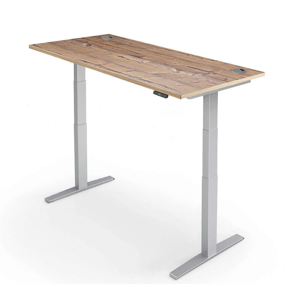PRO 2+ Dual Motor Electric Standing Desk