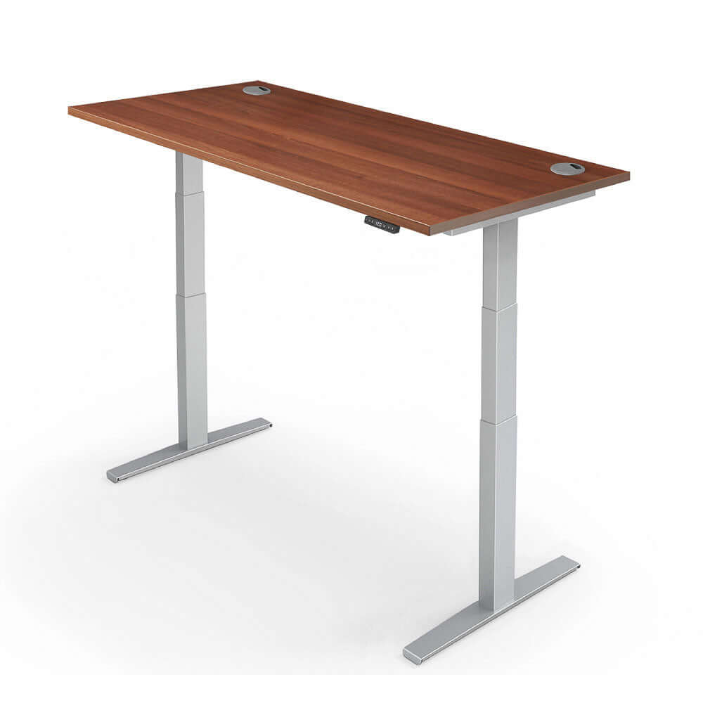 PRO 2+ Dual Motor Electric Standing Desk