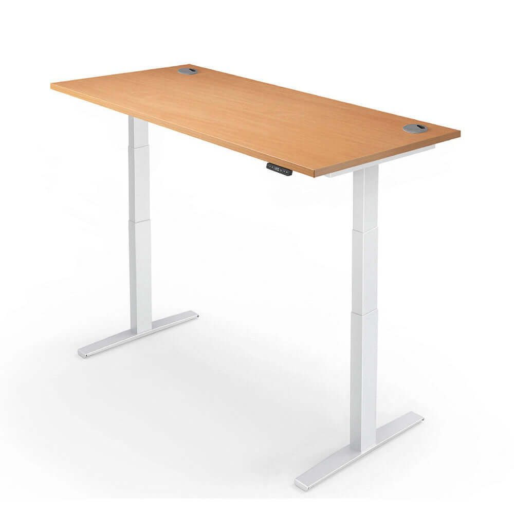 PRO 2+ Dual Motor Electric Standing Desk