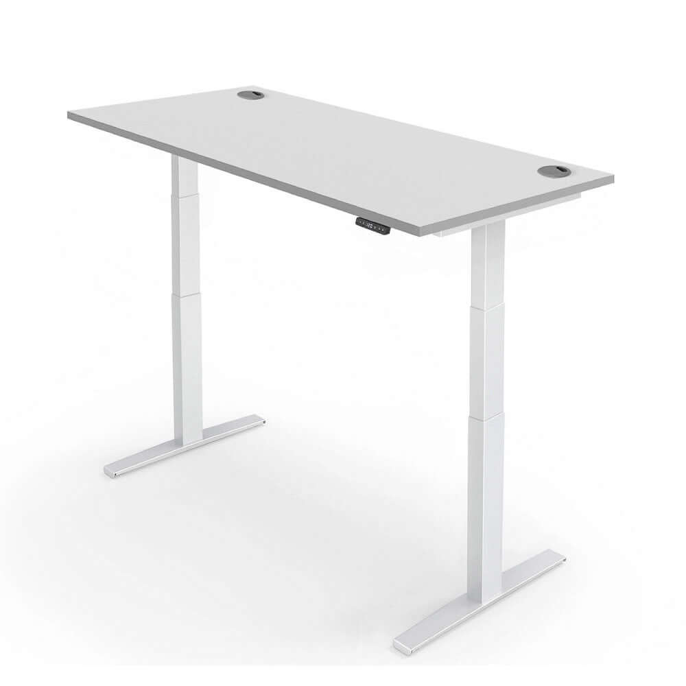 PRO 2+ Dual Motor Electric Standing Desk