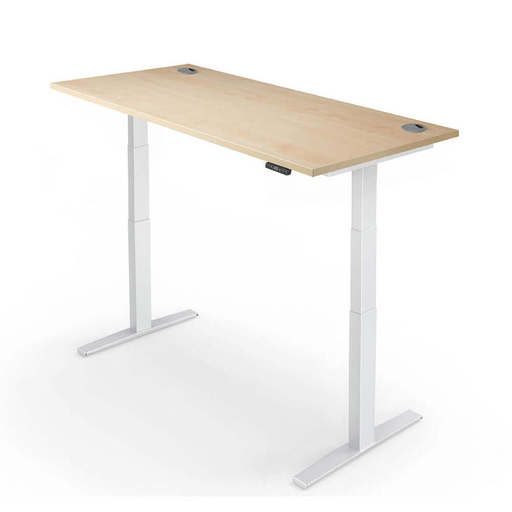 PRO 2+ Dual Motor Electric Standing Desk