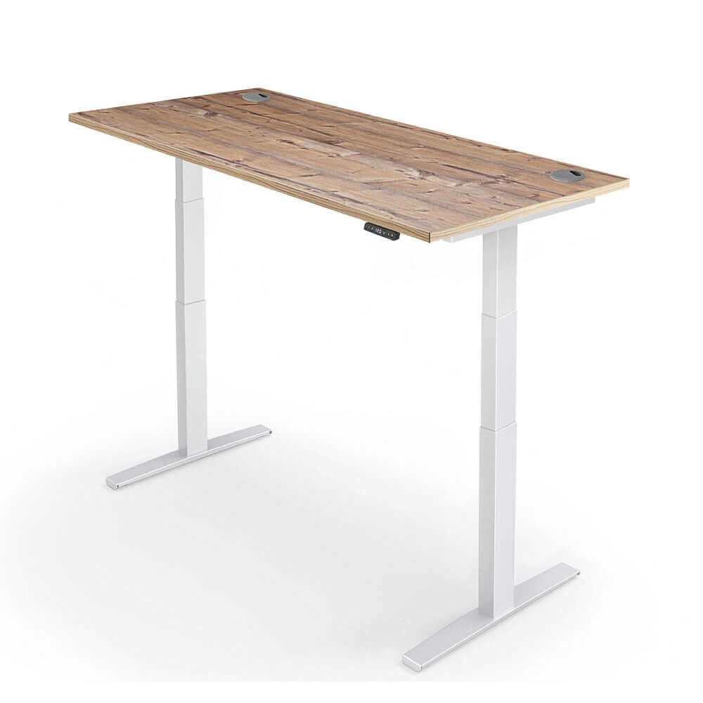 PRO 2+ Dual Motor Electric Standing Desk