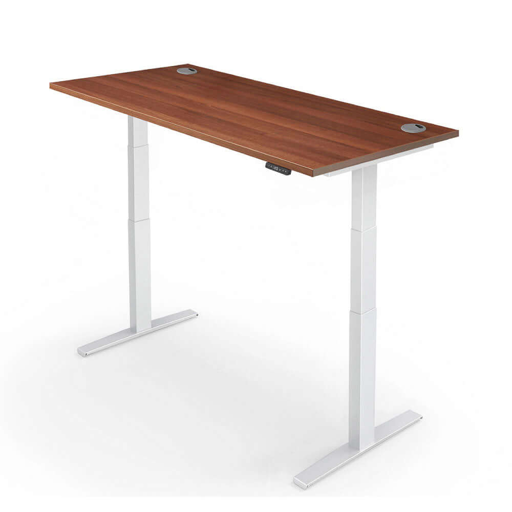 PRO 2+ Dual Motor Electric Standing Desk