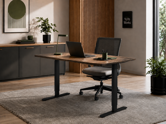 iLohas - The 2 - Dual-motor Electric Sit-Stand Desk