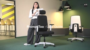 Viasit Prompt Too Ergonomic Task Chair