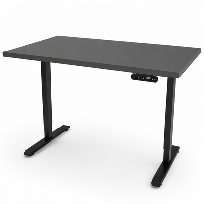 iLohas - The 2 - Dual-motor Electric Sit-Stand Desk