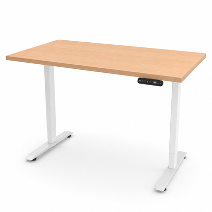 iLohas - The 2 - Dual-motor Electric Sit-Stand Desk