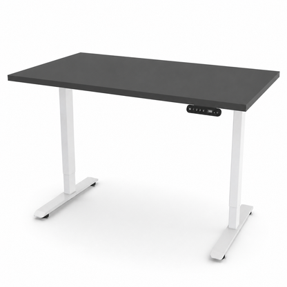 iLohas - The 2 - Dual-motor Electric Sit-Stand Desk