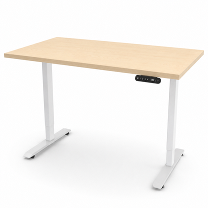 iLohas - The 2 - Dual-motor Electric Sit-Stand Desk