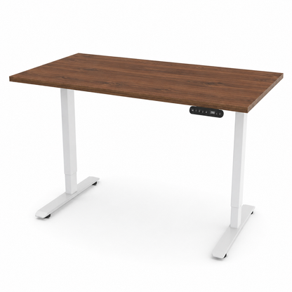 iLohas - The 2 - Dual-motor Electric Sit-Stand Desk
