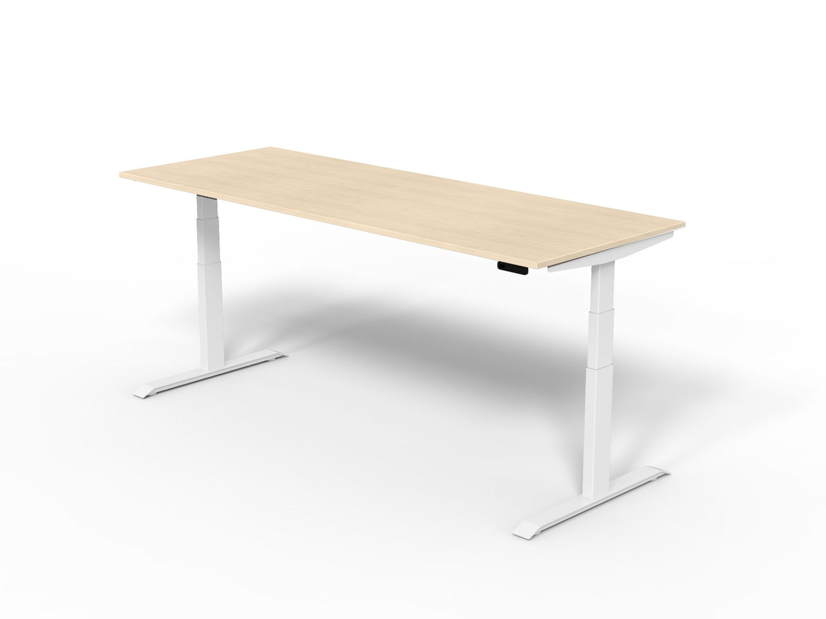 Robberechts - Venta T Sit Stand Desk Basic Colours