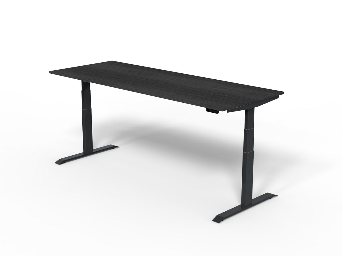 Robberechts - Venta T Sit Stand Desk Basic Colours