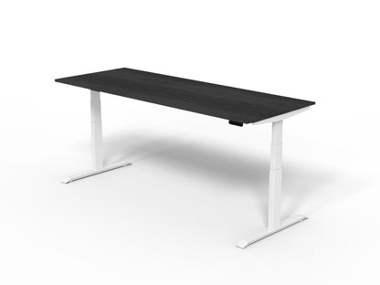 Robberechts - Venta T Sit Stand Desk Basic Colours
