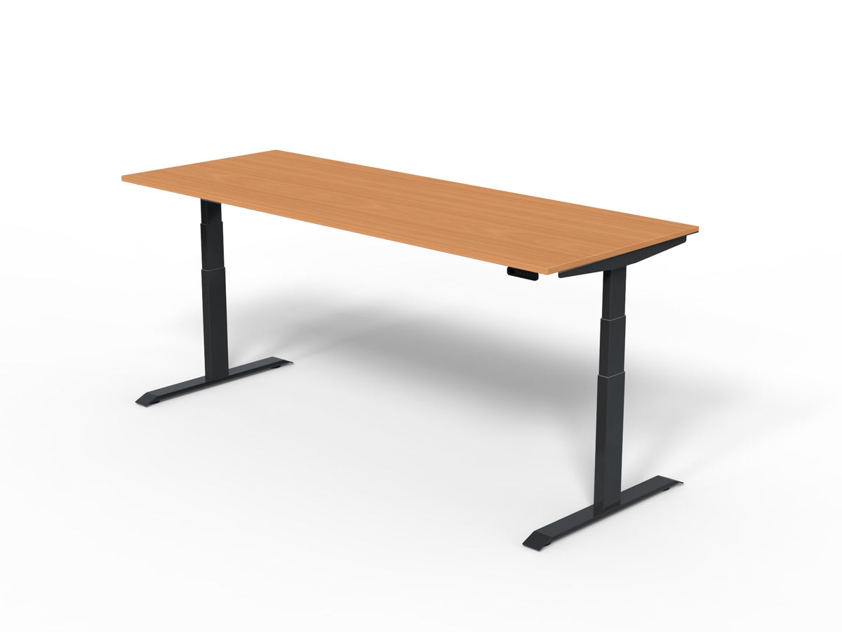 Robberechts - Venta T Sit Stand Desk Basic Colours