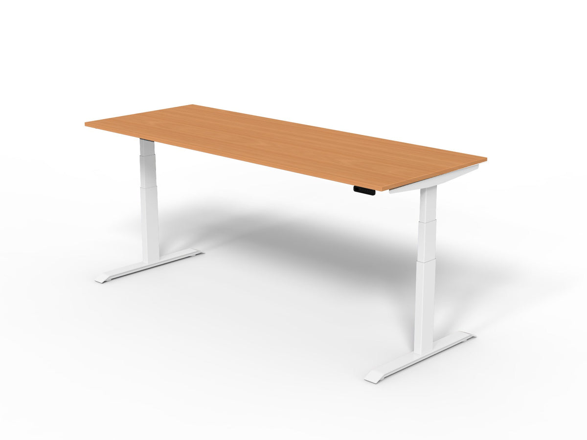 Robberechts - Venta T Sit Stand Desk Basic Colours