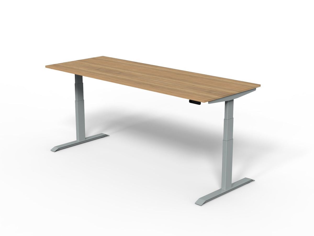 Robberechts - Venta T Sit Stand Desk Basic Colours
