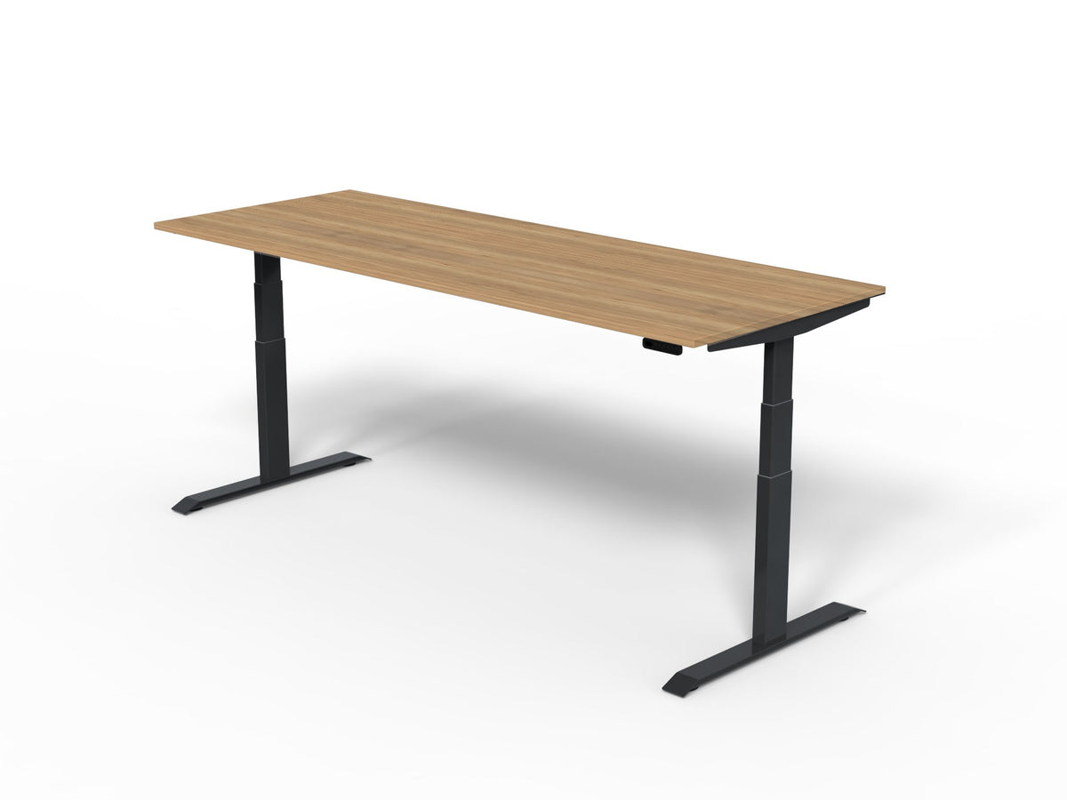 Robberechts - Venta T Sit Stand Desk Basic Colours