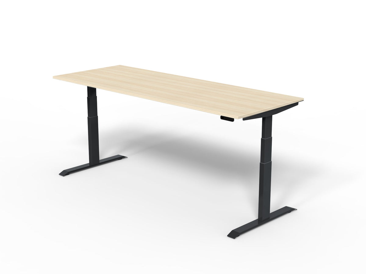 Robberechts - Venta T Sit Stand Desk Basic Colours
