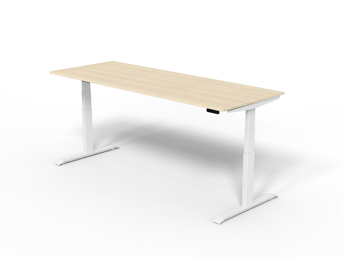 Robberechts - Venta T Sit Stand Desk Basic Colours