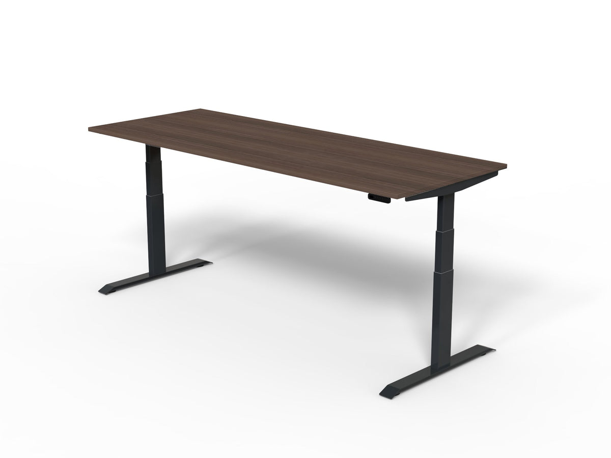 Robberechts - Venta T Sit Stand Desk Basic Colours