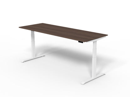 Robberechts - Venta T Sit Stand Desk Basic Colours