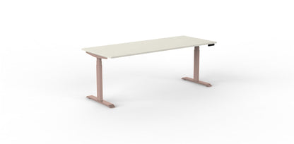 Robberechts - Venta T Sit Stand Desk - Trend Colours