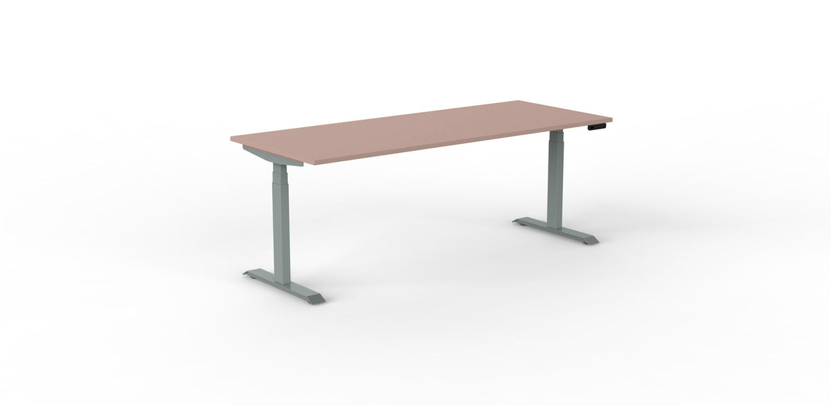 Robberechts - Venta T Sit Stand Desk - Trend Colours