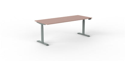 Robberechts - Venta T Sit Stand Desk - Trend Colours