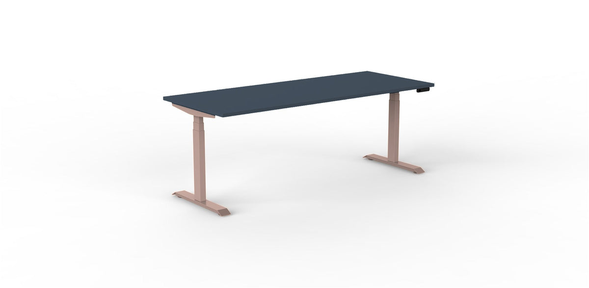 Robberechts - Venta T Sit Stand Desk - Trend Colours