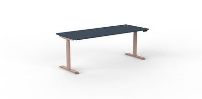 Robberechts - Venta T Sit Stand Desk - Trend Colours